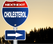 Cholesterol 1